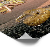 10 Egyptische vlaggen - Engels en Hebreeuws Poster (Hoek)