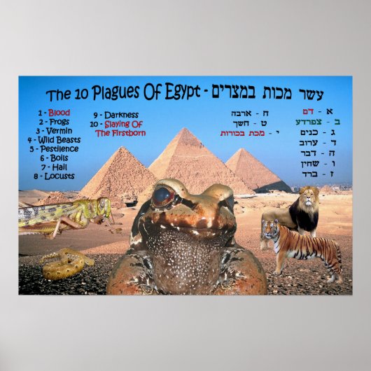 10 Egyptische vlaggen - Engels en Hebreeuws Poster (Voorkant)