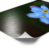 10-foto's vergeten-mij-Nots afdrukken Foto Afdruk (Hoek)