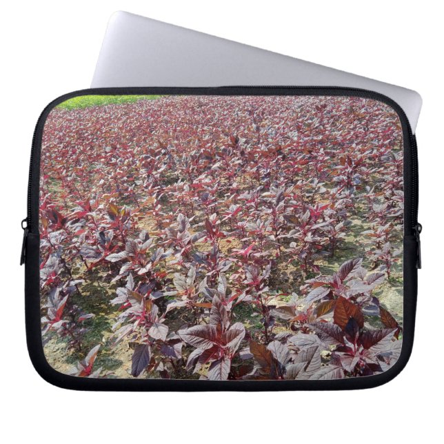 10-inch hoes voor neopreen-laptop (Voorkant)