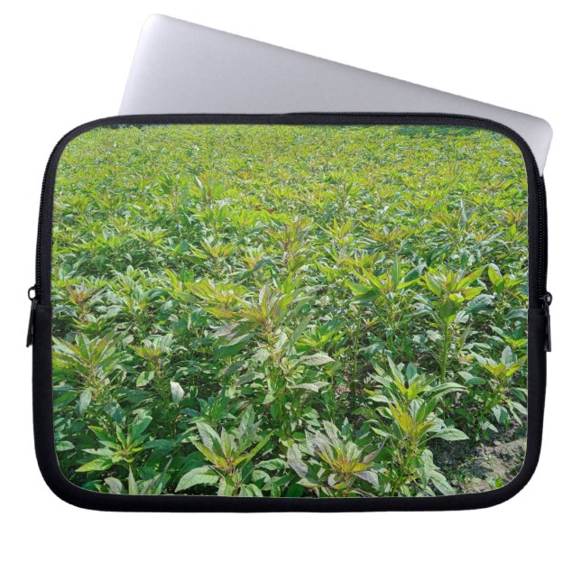 10-inch hoes voor neopreen-laptop (Voorkant)