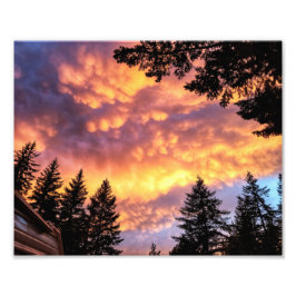 10-inch x8-inch fotoafdrukken | | Aanhangwagen Foto Afdruk