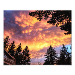 10-inch x8-inch fotoafdrukken     Aanhangwagen Foto Afdruk