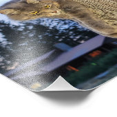 10-inch x8-inch fotoafdrukken | | Cathletic Cat Foto Afdruk (Hoek)