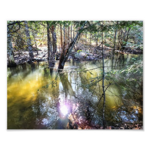 10-inch x8-inch fotoafdrukken    Een loopbaan van  Foto Afdruk