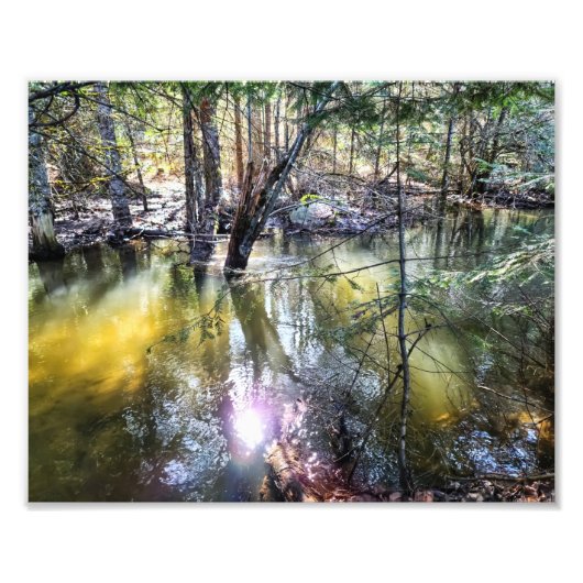 10-inch x8-inch fotoafdrukken || Een loopbaan van  Foto Afdruk (Voorkant)