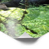 10-inch x8-inch fotoafdrukken || Moose Lunch v5 Foto Afdruk (Hoek)