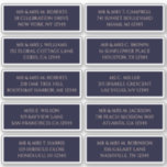 10 Individuele Gast Naam Adres Mystieke Marine Sticker<br><div class="desc">10 Individuele Gast Naam Adres Mystiek Donker Navy Blauw Bruiloft Stickers beschikt over 10 stickers met uw individuele gast naam en adres op elke sticker in perzik script op een donker marineblauwe achtergrond. Ook perfect voor kerst- en vakantiekaarten, feestuitnodigingen, bedankjes en kantoor mail outs. Bewerk de tekst in de tekstvakken....</div>
