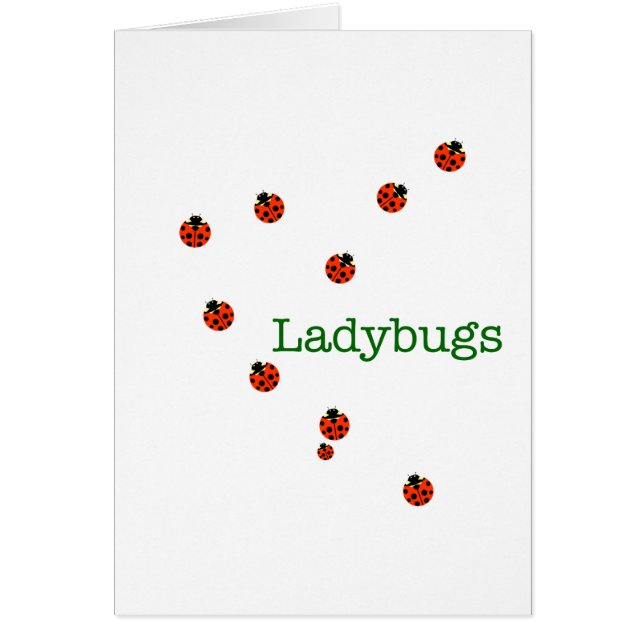 10 ladybugs (Voorkant)