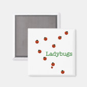 10 ladybugs magneet (Voorkant / Achterkant)