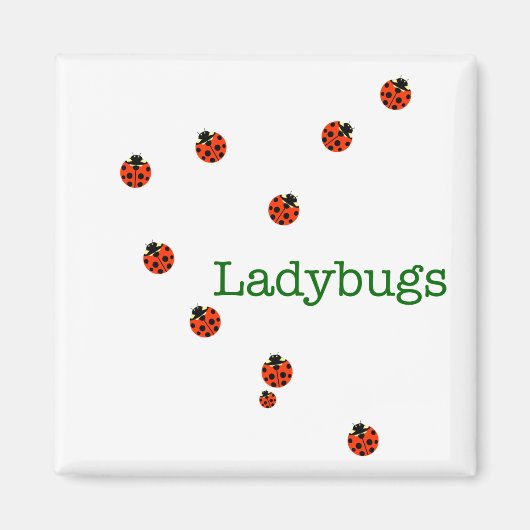 10 ladybugs magneet (Voorkant)