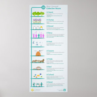 10 Meest ongewone Collectieve Nouns onthuld en exp Poster