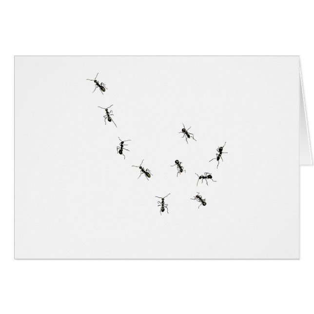 10 mieren (Voorkant Horizontaal)