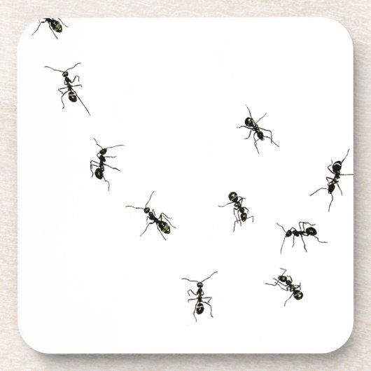 10 mieren bier onderzetter (Voorkant)
