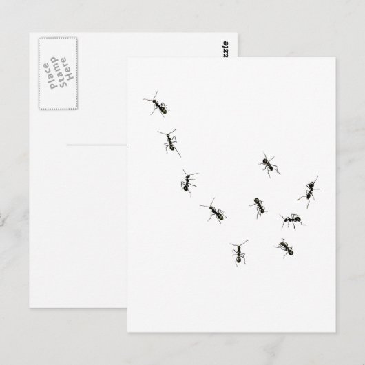 10 mieren briefkaart (Voorkant / Achterkant)