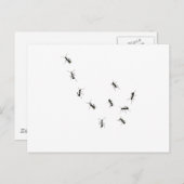 10 mieren briefkaart (Voorkant / Achterkant)