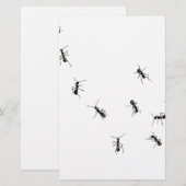 10 mieren briefpapier (Voorkant / Achterkant)