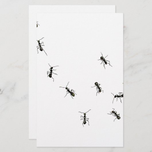 10 mieren briefpapier (Voorkant / Achterkant)