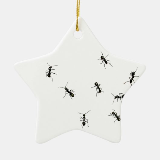 10 mieren keramisch ornament (Voorkant)