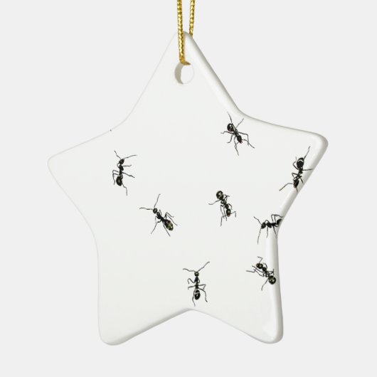 10 mieren keramisch ornament (Links)