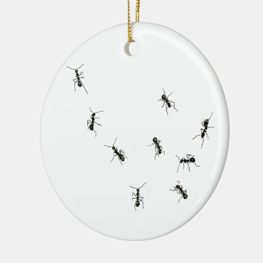 10 mieren keramisch ornament (Links)