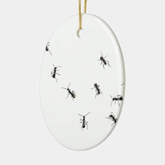 10 mieren keramisch ornament (Links)