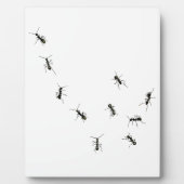 10 mieren plaque fotoplaat (Voorkant)