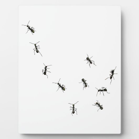 10 mieren plaque fotoplaat (Voorkant)