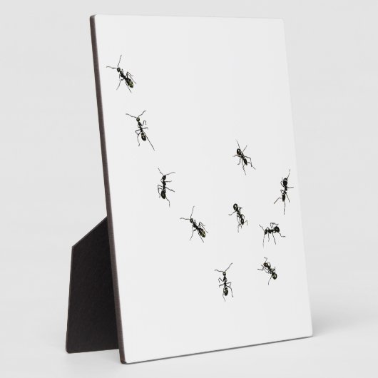 10 mieren plaque fotoplaat (Zijkant)