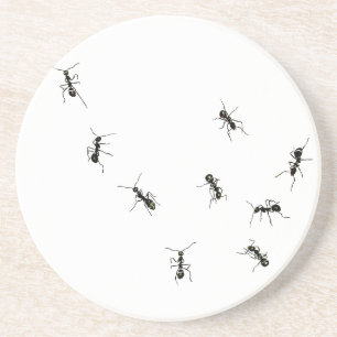 10 mieren zandsteen onderzetter