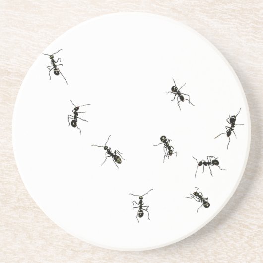 10 mieren zandsteen onderzetter (Voorkant)