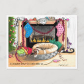 10 minuten nadat de katten wakker zijn geworden briefkaart (Voorkant)