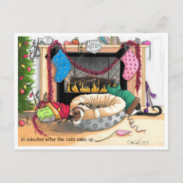10 minuten nadat de katten wakker zijn geworden briefkaart