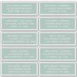 10 Naam individuele gast Adres Partij Wedding Sti Sticker<br><div class="desc">10 Individuele Gast Naam Adres Partij Bruiloft Witte Script Stickers beschikt over 10 stickers met uw individuele gast naam en adres op elke sticker in witte script typografie op een groene achtergrond. Perfect voor bruiloft uitnodigingen, Kerst en Vakantie kaarten, feestuitnodigingen, bedankjes en kantoor mail outs. Bewerk de tekst in de...</div>