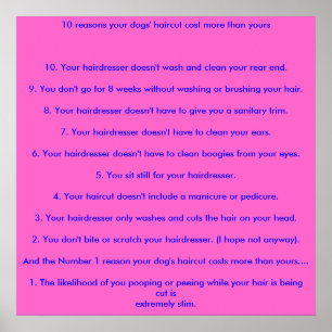 10 redenen waarom je haar kapsel meer kost dan je. poster
