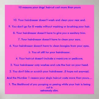 10 redenen waarom je haar kapsel meer kost dan je. poster