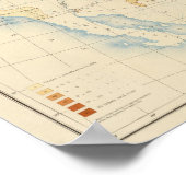 10 Verkleurde populatie 1890 Poster (Hoek)