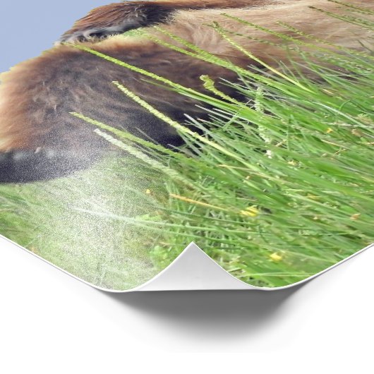 10 x 8 inch, Kodak Professional-fotopapier (Satin) Foto Afdruk (Hoek)