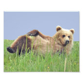 10 x 8 inch, Kodak Professional-fotopapier (Satin) Foto Afdruk (Voorkant)