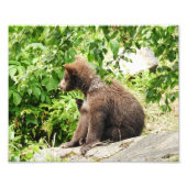 10 x 8 inch, Kodak Professional-fotopapier (Satin) Foto Afdruk (Voorkant)