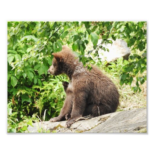 10 x 8 inch, Kodak Professional-fotopapier (Satin) Foto Afdruk (Voorkant)