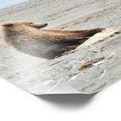 10 x 8 inch, Kodak Professional-fotopapier (Satin) Foto Afdruk (Hoek)