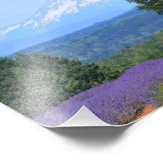 10 x 8 inch, Kodak Professional-fotopapier (Satin) Foto Afdruk (Hoek)