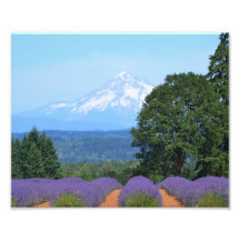 10 x 8 inch, Kodak Professional-fotopapier (Satin)