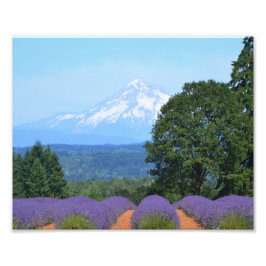 10 x 8 inch, Kodak Professional-fotopapier (Satin) Foto Afdruk