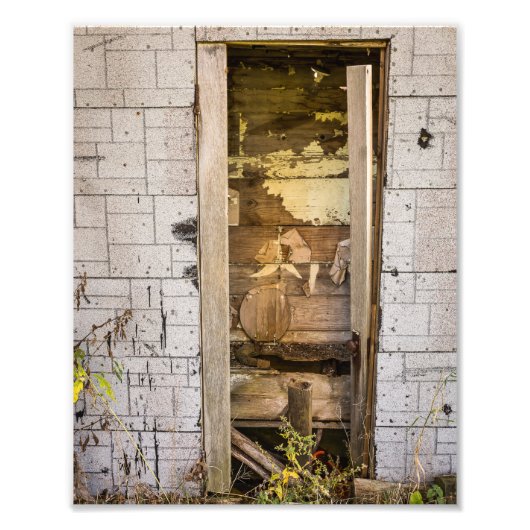 10 x 8 inch, Kodak Professional-fotopapier (Satin) Foto Afdruk (Voorkant)