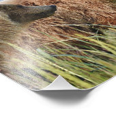 10 x 8 inch, Kodak Professional-fotopapier (Satin) Foto Afdruk (Hoek)