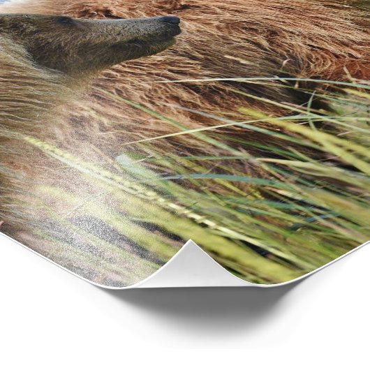 10 x 8 inch, Kodak Professional-fotopapier (Satin) Foto Afdruk (Hoek)