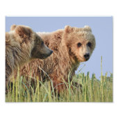 10 x 8 inch, Kodak Professional-fotopapier (Satin) Foto Afdruk (Voorkant)