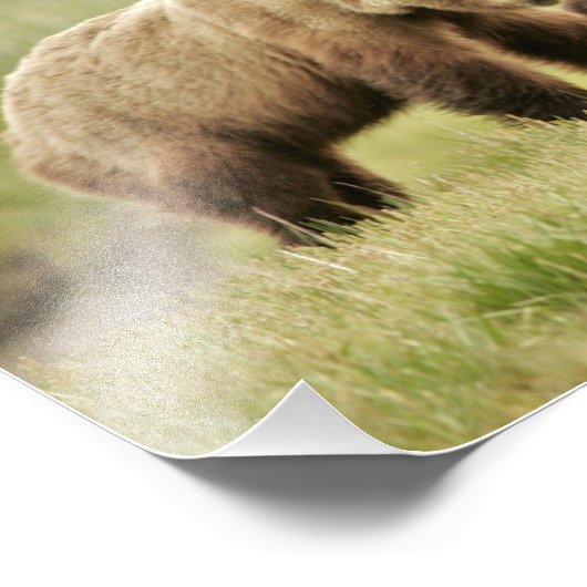 10 x 8 inch, Kodak Professional-fotopapier (Satin) Foto Afdruk (Hoek)